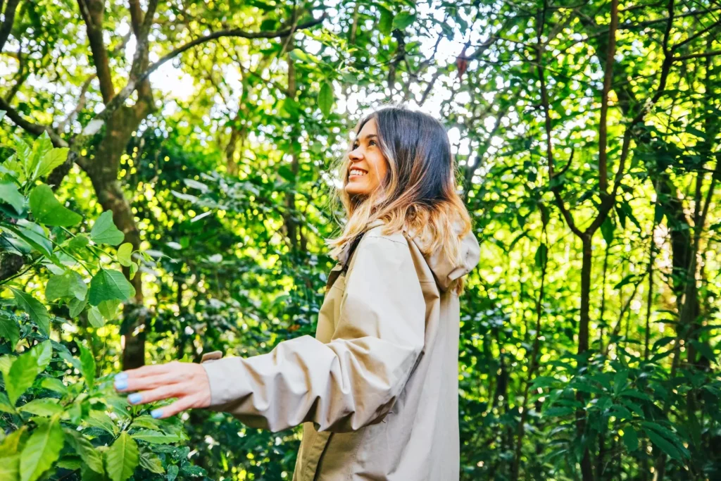 El bosque nuboso de Monteverde