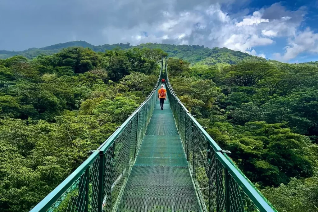 Suspension Bridges