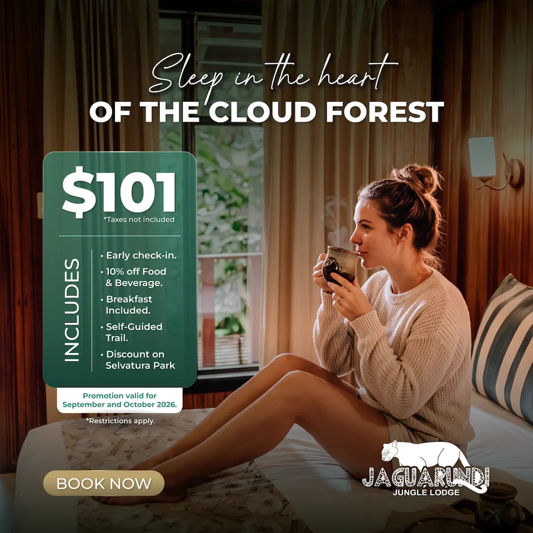 Disconnect and experience Monteverde from the cloud forest