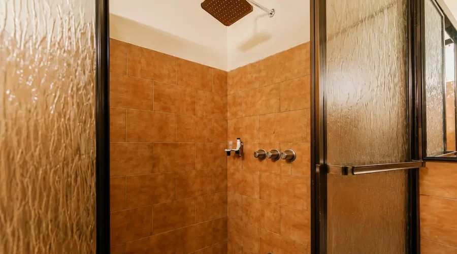 Standard Room Shower
